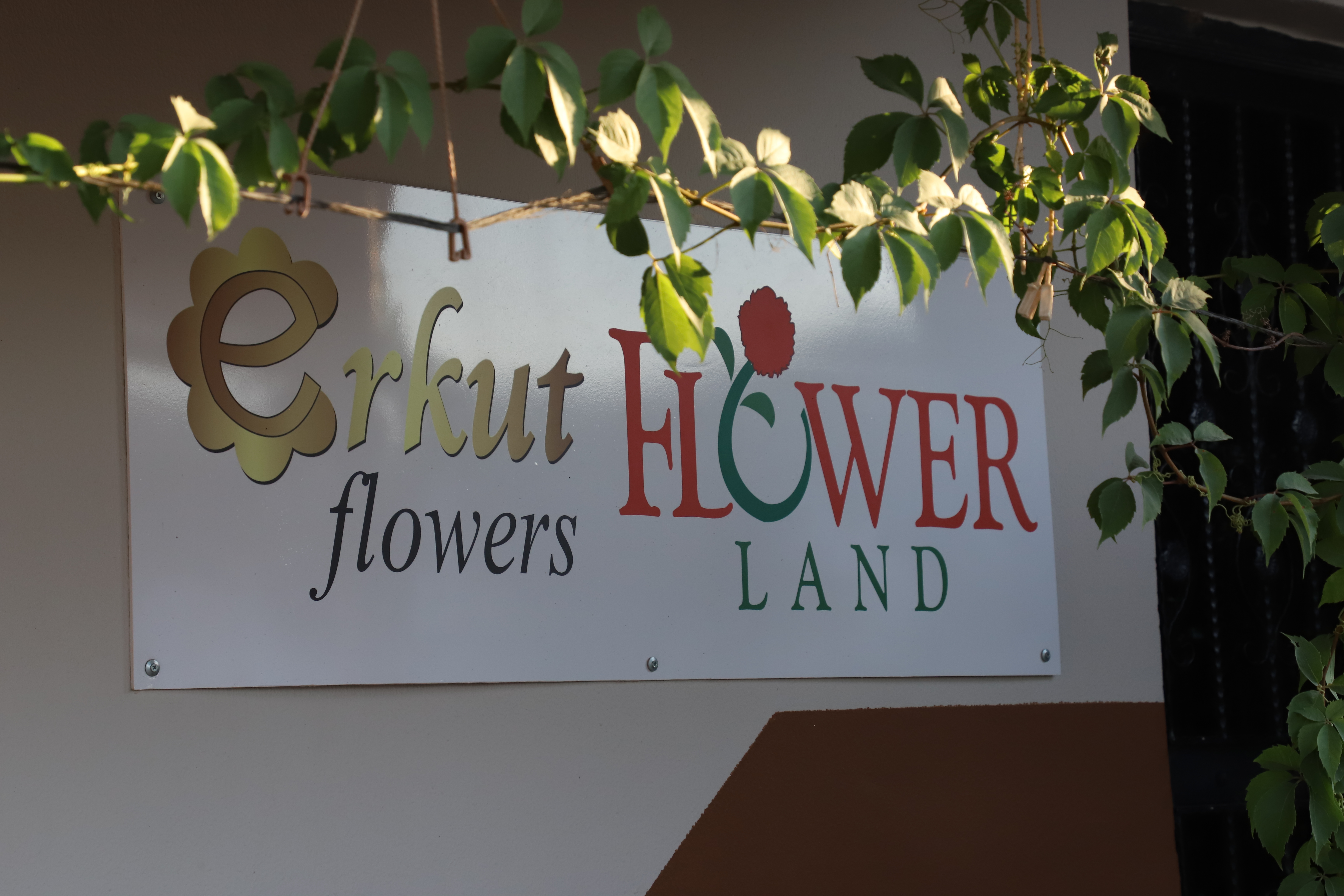 Flower Land Tabela
